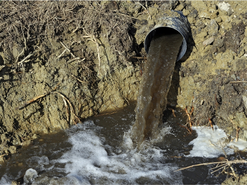 Quel type de pompe de cale est le plus adapté aux eaux usées avec des solides en suspension ?