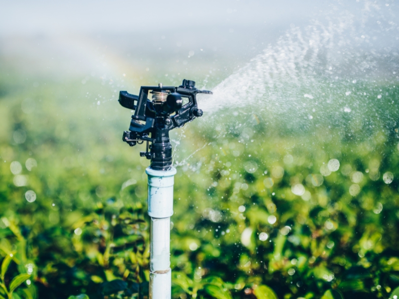 Quelle pompe à eau est la meilleure pour arroser votre jardin?